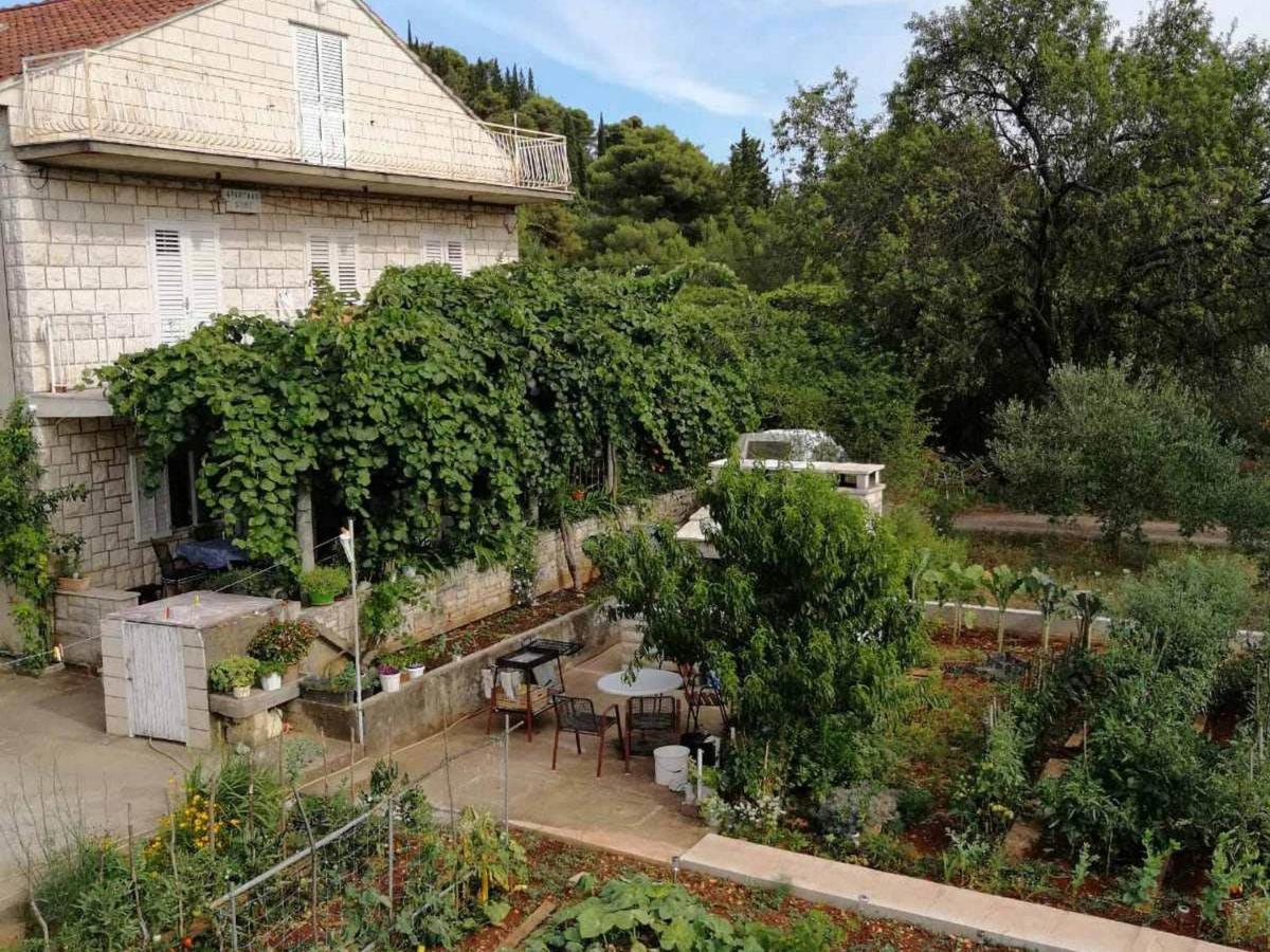 Apartments Marita Korčula Kültér fotó